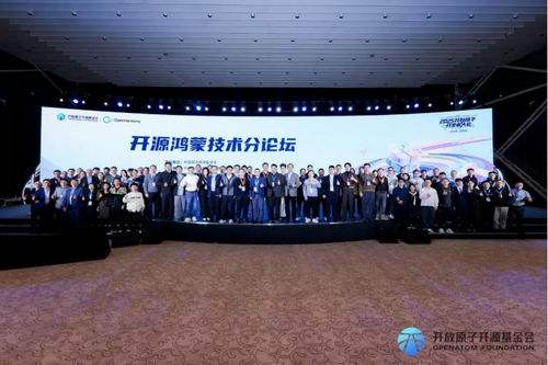 2025开放原子开发者大会 拓维信息携手开鸿智谷成功承办开源鸿蒙技术分论坛，共绘技术开发新蓝图